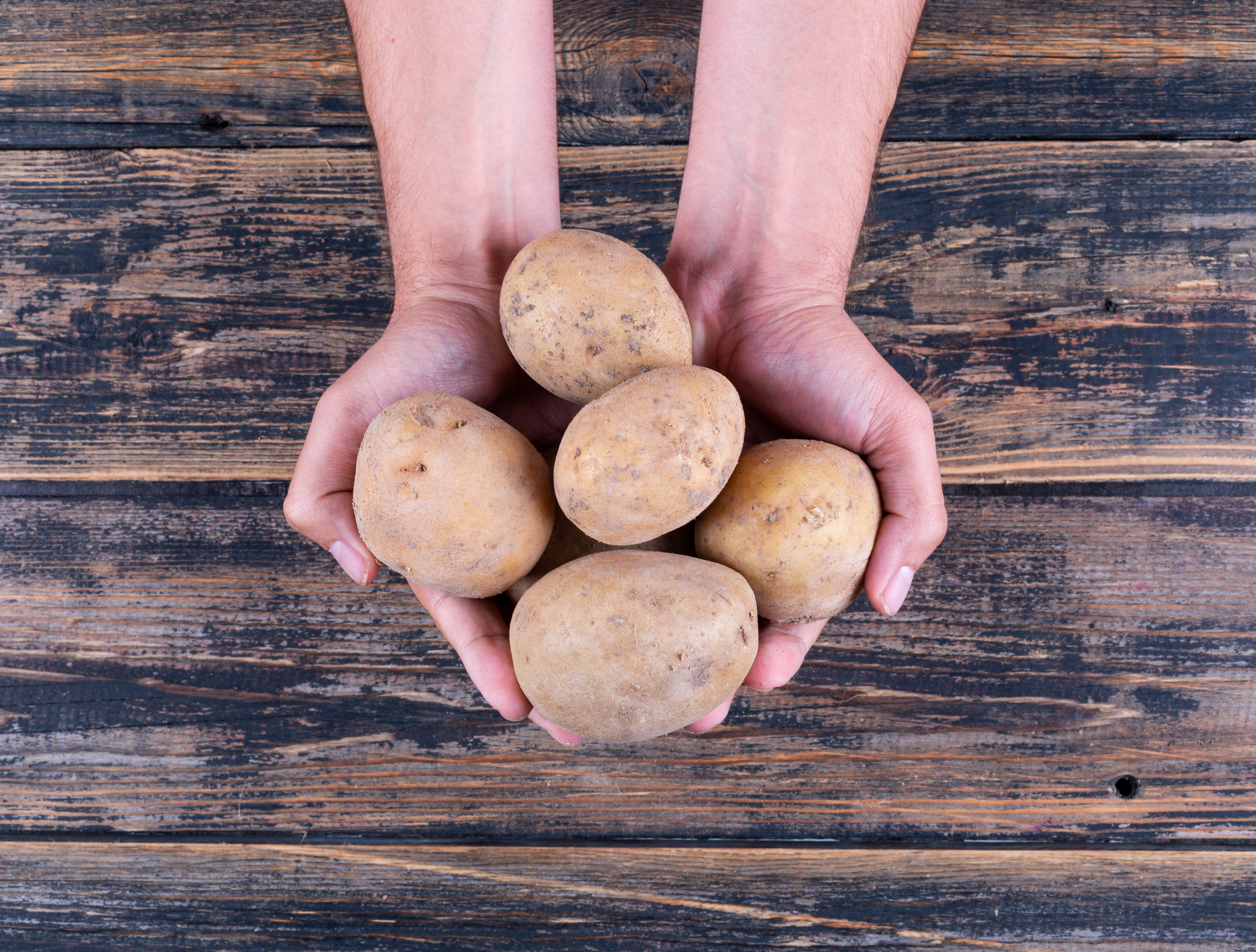 Premium Potato Export