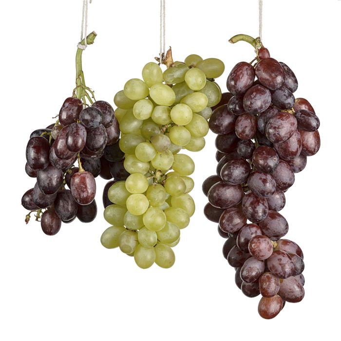 Fresh Grapes