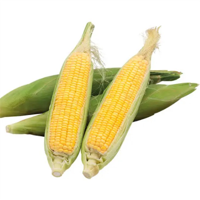 Frozen Sweet Corn