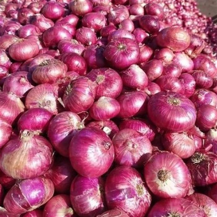 Onion